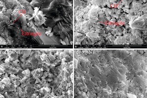  8 SEM images of mortars with different dosage of NT at 28 days 