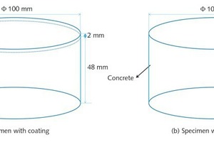  3 Specimens with and without coating for RCM test 