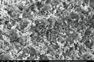  9 Scanning electron microscope (SEM) photographs of samples NS0, NS3 and NS5 hydrated for 28 days 