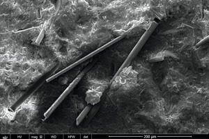  14 SEM image of sample NBFHb 