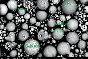  3 SEM image of FA 