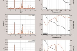  11 XRD patterns and DSC–TG analysis of cement pastes at 8 hours 