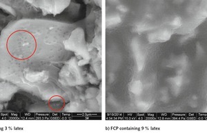  7 ESEM images of the FCPs with latex 5 min after mixing 