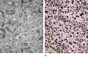  11 2-D images of blank fresh cement paste (a) and asphalt emulsion (b) 