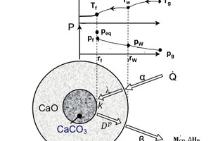  1 Decomposition model of spherical limestone particle 