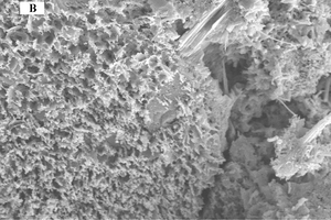  2 Electron microscopic images of cement stone samples:a, b Chips of the test sampleс, d Sample of chips on activated Portland cement; note a, c Zooming 100 xb, d Zooming 10000 x 