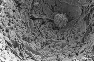  13 SEM micrograph of the fracture face of a thin-bed mortar zero sample in 500-fold magnification 