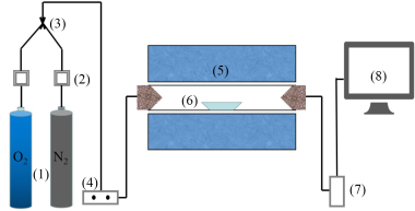 Schematic diagram of the experimental system