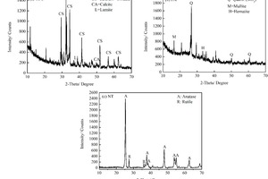  XRD patterns of OPC, FA and NT 