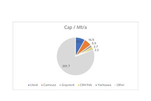  6 Market shares of major producers by capacity 2017  