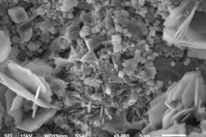  6 SEM and EDS micrographs of samples without Pb(NO3)2 (P0) and with 0.5% Pb(NO3)2 (P1): (a) SEM image of P0 at 24 h(b) SEM image of P1 at 24 h(c) EDS image of P1 at 24 h(d) Element analysis diagram of P1 at 24 h 