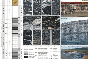  1 Example of the stratigraphic quarry log. The mine is split in four different benches. Each bench presents different rock types, i.e. lithofaces, showing characteristic petrographic features and technical properties, such as different slaking reactivity 