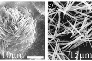  4 SEM images of crystalline C-S-H: A – killalaite (Ca6.4 [H0.6Si2O7]2 (OH)2), B – gyrolite (Ca1Si24O60 (OH)8(14+x) H2O) in a tobermorite matrix, C – hillebrandite (Ca2SiO3 (OH)2), D – xonotlite (Ca6 [Si6O17] (OH)2). Product formation is dependent on Ca/Si, treatment temperature and duration 