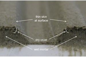  4 A fresh cut across two mortar ribs about an hour after the mortar was troweled onto a non-porous ceramic plate. One can see a closed thin skin at the surface, thick porous crust underneath the skin and wet mortar in inner parts of the combed ribs 