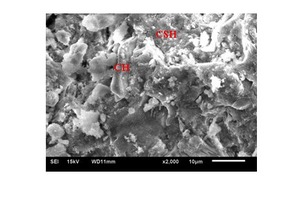  9 Micrograph of 7-day hydrated cement pastes (a) PSC-C-1-55, (b) PSC-A-55 