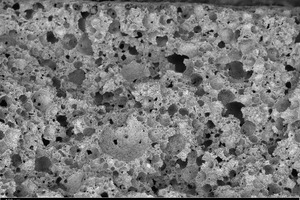  2 SEM image of the cross section through gypsum board 