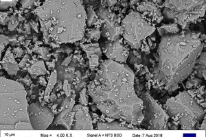  5 SEM images at 4000x magnification of samples W (top left), X (top right), Y (lower left), and Z (lower right) 