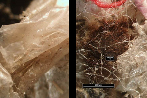  4 Comparison of material from cutting mill (left) and from A TEC’s Rocket Mill® (right) 