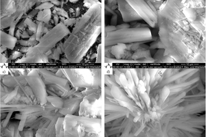  7 SEM images during the hydration of SA α-HH over different time periods as followa)	at 2 minutes, b)	at 10 minutes, c)	at 135 minutes andd)	at 240 minutes 