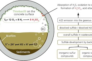  1 Mechanism of MIC corrosion [3, 4, 5] and example of a corroded sewer system 