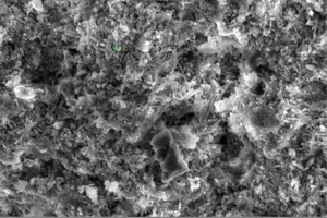  1 High-power (A – x500, B – x800) electron micrographs of the original hardened GCPP  