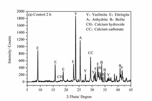  6 XRD patterns of the hydrates of the control sample and the NS2 sample at 2 h and 28 d 