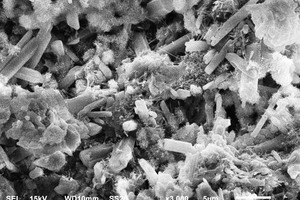  The structure of the gypsum-cement-pozzolan binder filmed in the Center for Collective Use of the D. I. Mendeleev Russian State Technical University 