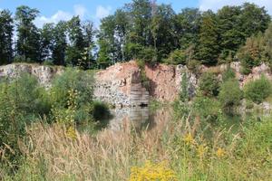  Former gypsum mining areas can become valuable areas for nature conservation. Researchers at the University of Bayreuth are investigating the conditions under which this happens 