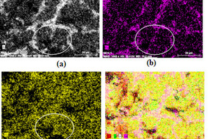  2 X-ray dot maps of Al (a), Fe (b), Mg (c) along with their composite mapping (d) 