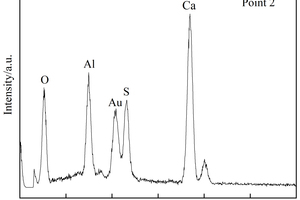 9 EDS spectra of paste samples under different conditions(a) EVA2-5% Na2SO4 