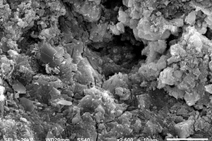  8 SEM images of paste samples under different conditions(a) CSA0-5% Na2SO4     