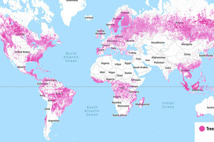  1 Global deforestation  