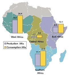 Focus on the Sub-Saharan cement industry - Cement Lime Gypsum