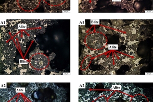  6 Polarized microscope images of clinker obtained under different calcination atmospheres 