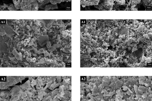  7 The SEM images of the hydrated clinker (3 days) sintering under different calcination atmospheres 