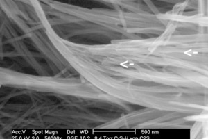 	Bündel von C-S-H Phasen bei hoher Auflösung im ESEM-WET Modus: a) vor der induzierten Strahlschädigung (Durchmesser der einzelnen Fasern zwischen 20 – 50 nm); b) nach Strahlschädigung. “Schmelzen” der Nanofasern durch Einwirkung eines Elektronenstrahls von 150 pA (Ladungsdichte 0.8 C/cm2) 