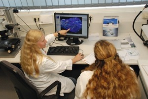  Particle analyses using a optical microscope (Plant Leimen, Sika Deutschland GmbH) 