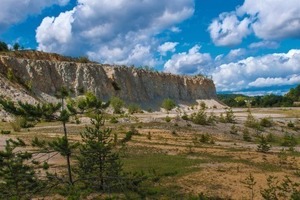  1 While quarries were earlier regarded as ugly wounds in the landscape, today their value as secondary biotopes in a landscape undergoing increasingly intensive exploitation is recognised and valued. With their naked, nutrient-poor soils, they are now the last refuges for rare species of flora and fauna that have no other place in our over-fertilised cultural landscape 