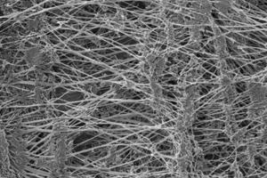  	Aufbau eines ePTFE-Membranfilters (Donaldson) 