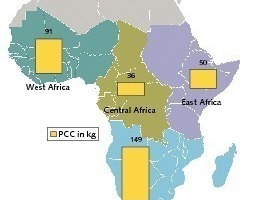  4	Per capita cement consumption in the regions (OneStone) 