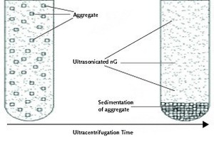  2 Schematic flow showing the progression of sedimentation of nGs inside a tube during ultracentrifugation 