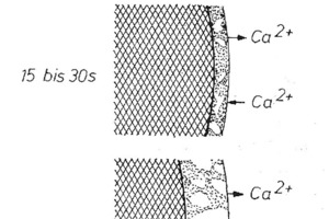  2 Formation of a continuous envelope of reaction products on the surface of the C3S particles in the early phase of hydration [12] 