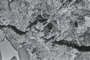  2 Electron microscopy photography of samples under study, magnification 10000x 