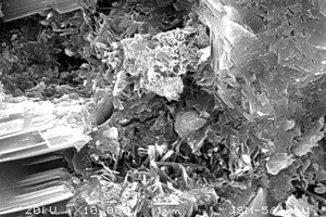  8 SEM spectrum of interfacial transition zone and different ages between thin layer cement paste modified with cellulose ether and aerated concrete⇥3 d⇥7 d⇥28 d 