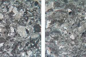  4 Microfabric of the limestone (image width 6.5 mm) 