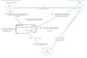  11 Components and their interaction in the coat formation 