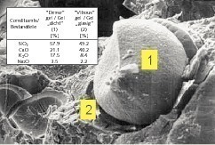  3	ASR gel compositions at different points in a pore 