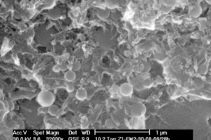  2	ESEM WET-mode (HV: 30 kV), M1-fractured surface at 28 h: densification of UHPC matrix by C-S-H growth 