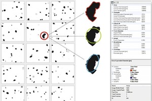  4  Single image analysis from the image gallery  