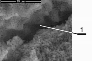  	Mikrogefüge eines Branntkalks aus prämbrischem Kalkstein (REM, 1-Mikroriss) 
